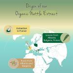 Vegavero Organic Stinging Nettle 3600 mg - 120 Vegan Capsules