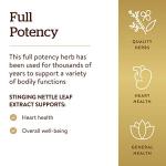 Solgar Nettle Leaf Extract Capsules - 60 Count