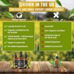 Organic Stinging Nettle Leaf Tincture Drops