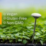 Organic Stinging Nettle Leaf Tincture Drops