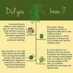 Vegavero Organic Stinging Nettle 3600 mg - 120 Vegan Capsules