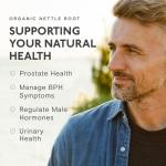 Organic Stinging Nettle Root Extract 2000mg - 60 Capsules