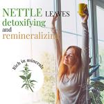 Origeens Organic Nettle Tea 100g - Detox Herbal Blend