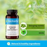 Stinging Nettle Leaf Extract 250 mg – 100 Capsules