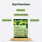 BSY Noni Hair Magic Shampoo - Ammonia-Free Color