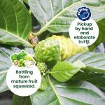 Pure Noni Juice 1L for Immunity and Inflammation