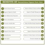 Organic Noni Juice - Pure & Natural 500ml