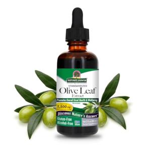 Nature's Answer Alcohol-Free Olive Leaf Extract, 2 oz