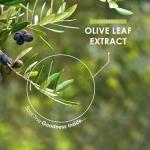 Organic Olive Leaf Extract 7500mg - 120 Vegan Capsules