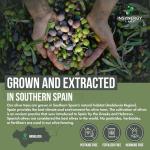 Olive Leaf Extract 30,000MG 60 Vegan Capsules