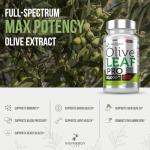 Olive Leaf Extract 30,000MG 60 Vegan Capsules