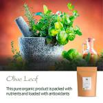Organic Greek Olive Leaf Tea - 350g Dried