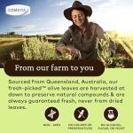 Comvita Olive Leaf Extract Liquid 500ml