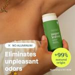 ATTITUDE Plastic-Free Aluminum-Free Deodorant - Olive Leaves