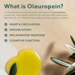 Organic Olive Leaf Extract 500mg, 60 Vegan Caps