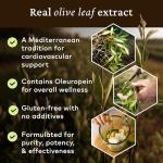 Comvita Olive Leaf Extract Liquid 500ml