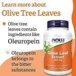 Now Foods Olive Leaf Extract 500mg, 120 Vegan Capsules