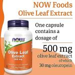 Now Foods Olive Leaf Extract 500mg, 120 Vegan Capsules