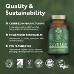 Organic Olive Leaf Extract 500mg, 60 Vegan Caps