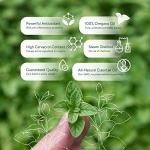 30ml Pure Oregano Oil - Strong Immune Support