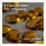 Organic Oregano Oil Capsules for Immune Support