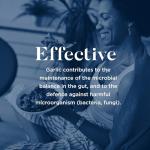 BioCare Eradicidin Forte: Garlic, Oregano, Clove Tablets