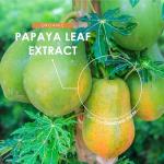 Organic Papaya Leaf Extract 12,000mg - 90 Vegan Capsules