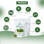 Organic Papaya Leaf Powder for Smoothies & Baking