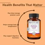 Vegan Papaya Leaf Tablets for Digestion and Platelets