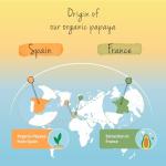 Organic Papaya Extract Capsules | 1400 mg Vegan