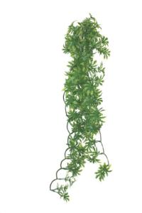Komodo Papaya Leaf Vine for Reptile Terrariums