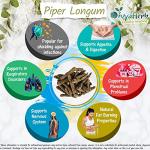 Piper Longum Powder for Enhanced Wellness