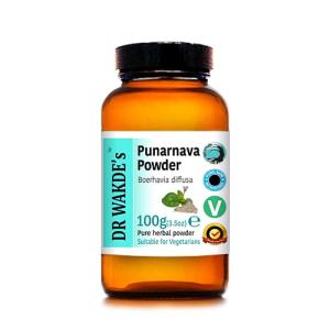 Dr Wakde's Pure Punarnava Powder - 100g
