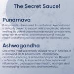 Ayurvedic Tablets for Circulation and Vein Support