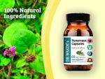 Dr. Wakde's Punarnava Capsules for Kidney Health