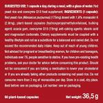 Red Yeast Rice with Coenzyme Q10 – 90 Capsules