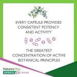 Nature's Plus Red Yeast Rice Capsules, 600mg, 120 Count