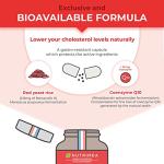 Red Yeast Rice with Coenzyme Q10 – 90 Capsules