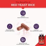 Red Yeast Rice with CoQ10 and Pine Phytosterols