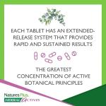 Red Yeast Rice Tablets - Vegan Herbal Supplement