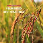 Red Yeast Rice 600mg - High Strength Vegan Capsules