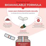 Red Yeast Rice with CoQ10 and Pine Phytosterols