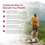 Red Yeast Rice Capsules with Coenzyme Q10