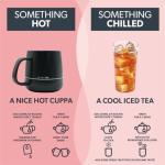 Nutra Tea Lipid Management: Herbal Cholesterol Tea