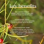 Fushi Shatavari Organic Herbal Supplement 60 Caps