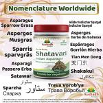 Organic Shatavari Root Powder for Wellness