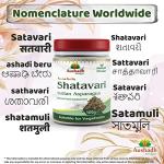 Organic Shatavari Root Powder for Wellness