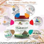 Organic Shatavari Root Powder for Wellness