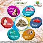 Organic Shatavari Root Powder for Wellness