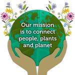 Pukka Womankind Herbal Tea Box - Caffeine Free